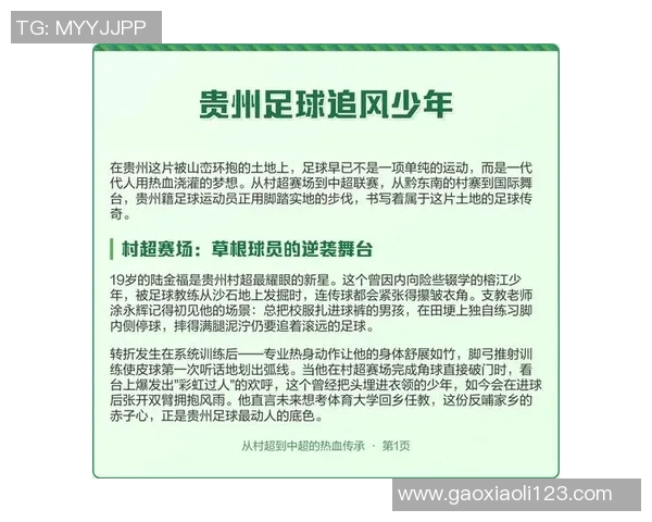 足球明星的传奇故事与赛场背后的辛酸历程全记录
